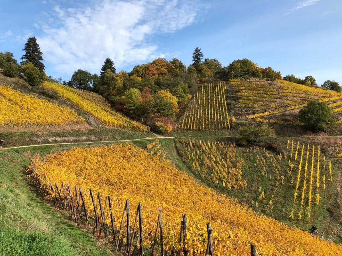 Le Gite Du Sommerberg Niedermorschwihr Exteriör bild