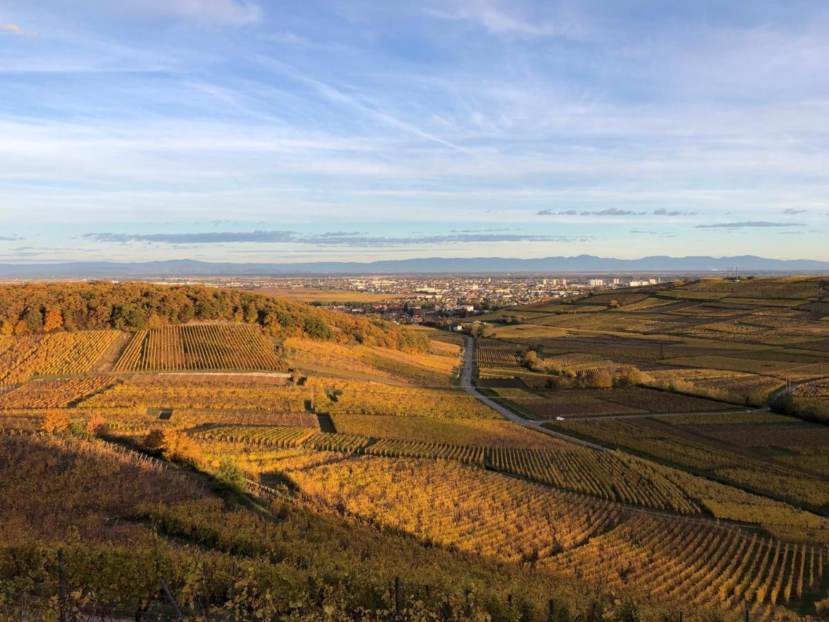 Le Gite Du Sommerberg Niedermorschwihr Exteriör bild