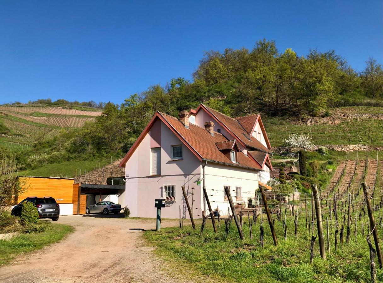Le Gite Du Sommerberg Niedermorschwihr Exteriör bild
