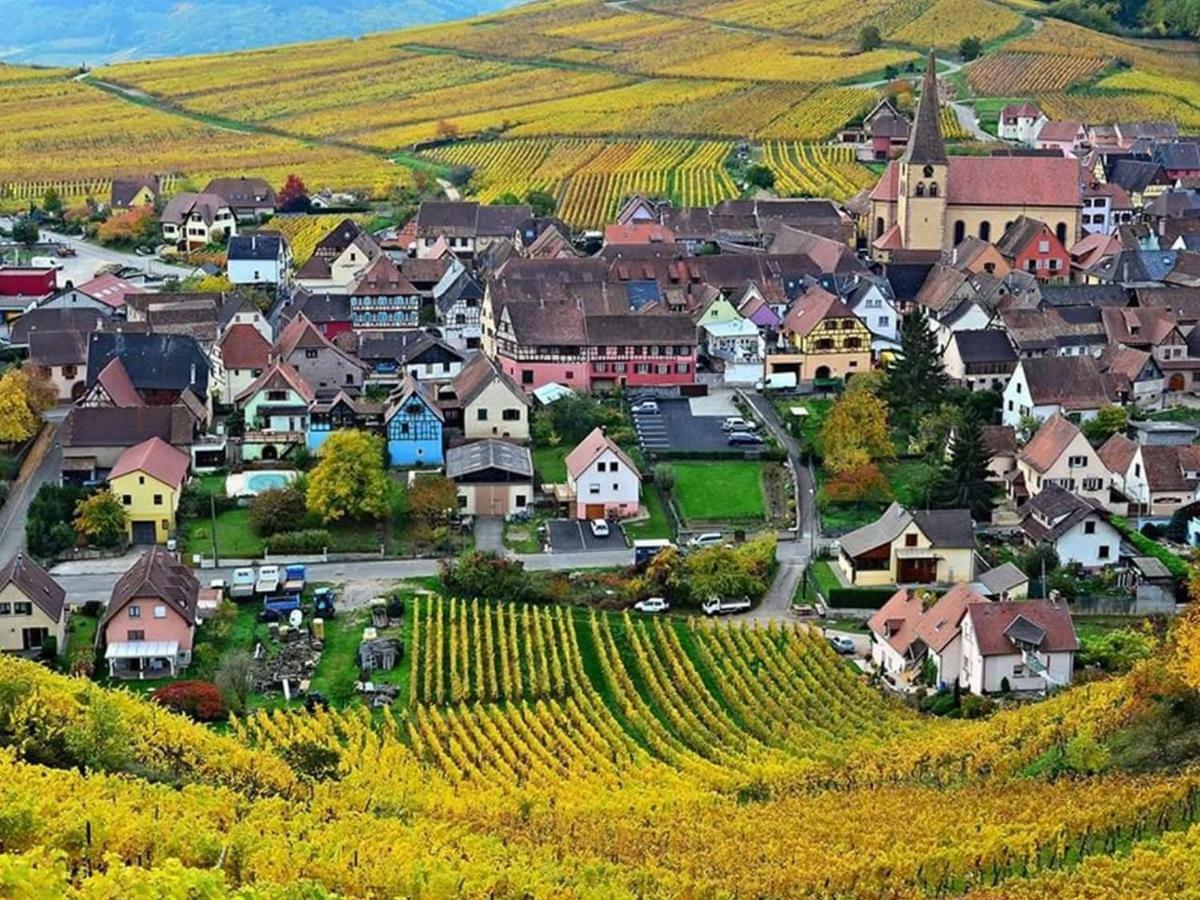 Le Gite Du Sommerberg Niedermorschwihr Exteriör bild